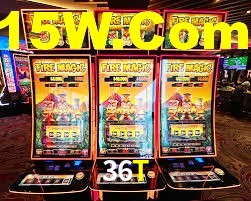 Bonus Features 36T